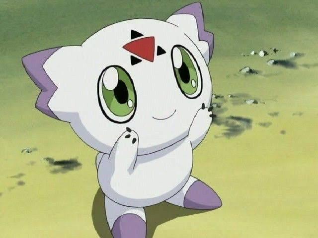 Cutest Digimon compilation featuring adorable digital monsters from various series