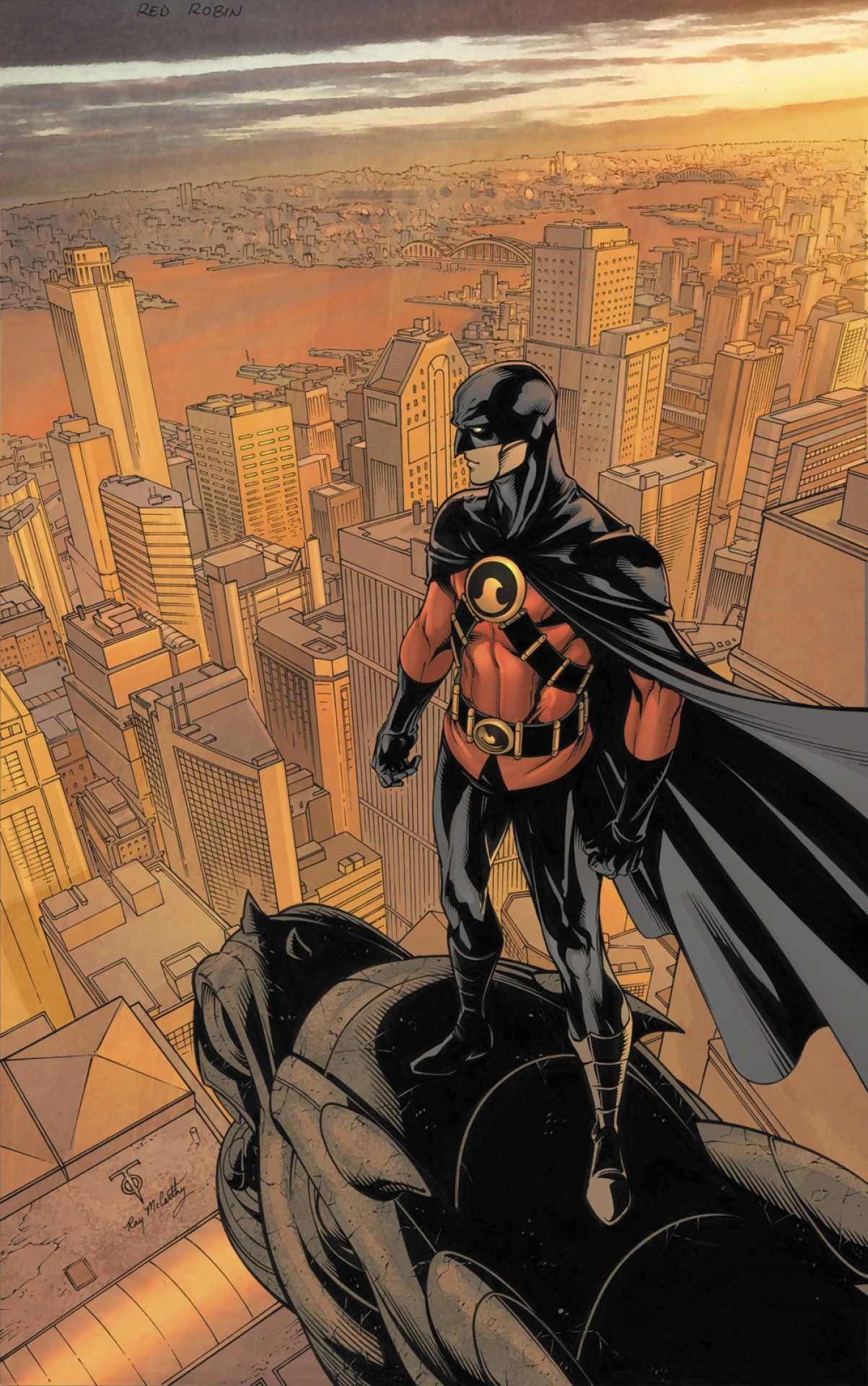 Tim Drake as Robin