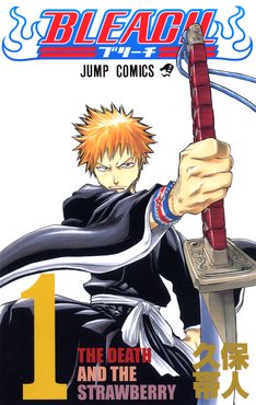 Cover of Bleach volume 1 by Tite Kubo