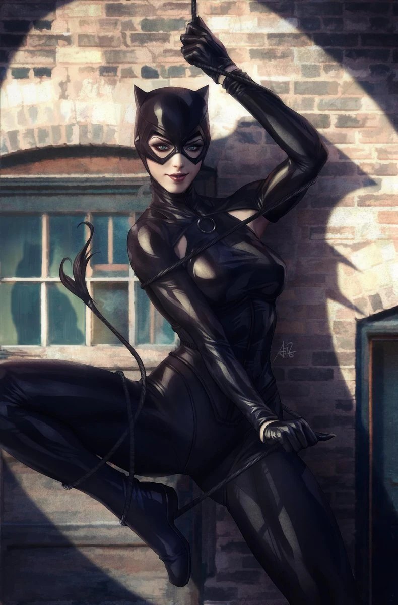 Catwoman in her modern black costume, perched on a rooftop
