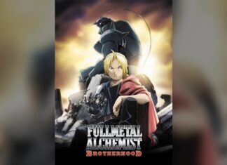 Fullmetal Alchemist Watch Order: Brotherhood or 2003 First?