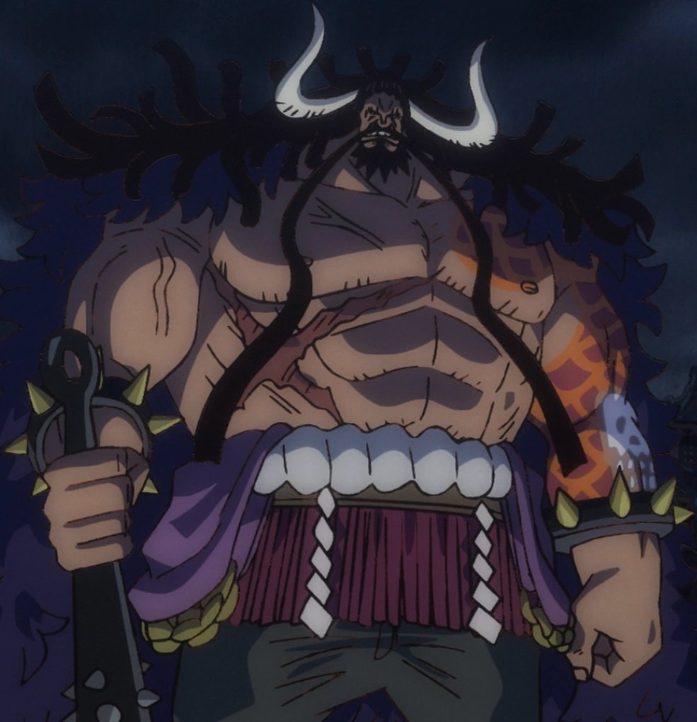 Kaido of the Beasts Pirates