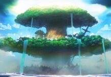 One Piece Watch Order: Every Arc and the Filler You Can Skip