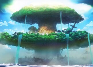 One Piece Watch Order: Every Arc and the Filler You Can Skip