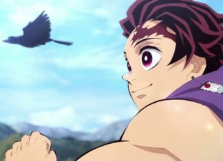 Demon Slayer Guide: All 63 Episodes, Cast and Where to Stream