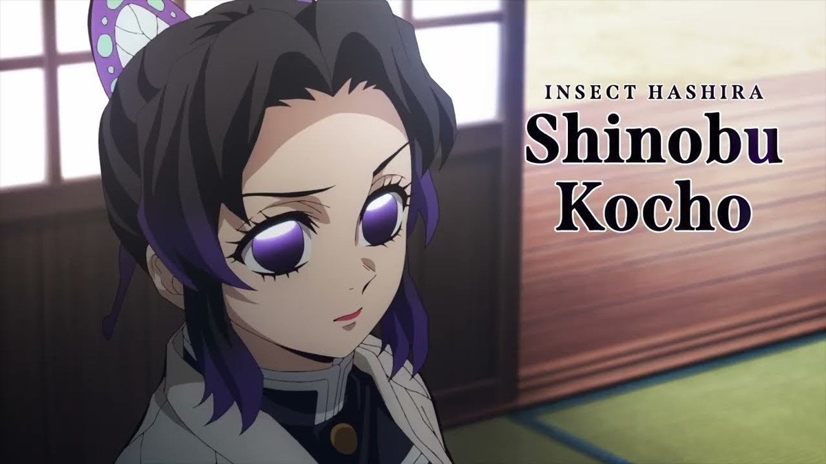 A frame from the official Demon Slayer: Kimetsu no Yaiba trailer