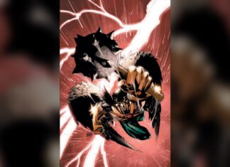 Hawkgirl vs. Hawkman: What’s Actually the Difference?
