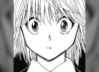 Hunter x Hunter Chapter 420 Confirmed as Hiatus Start, No Return Date Yet