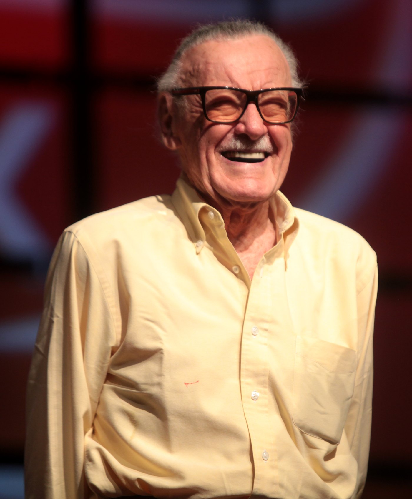 Stan Lee in 2014