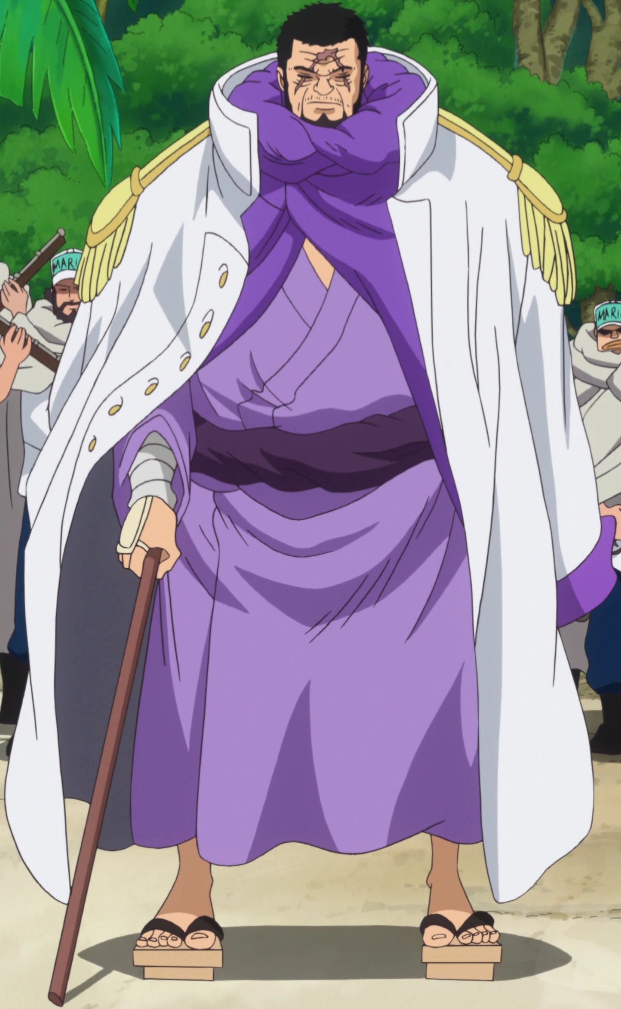 Fujitora (Issho), the gravity-wielding Marine admiral